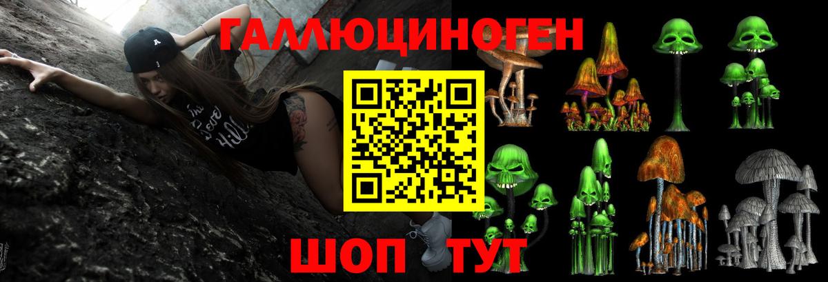 Волгодонск  Псилоцибиновые грибы мухоморы  Вход с VPN 