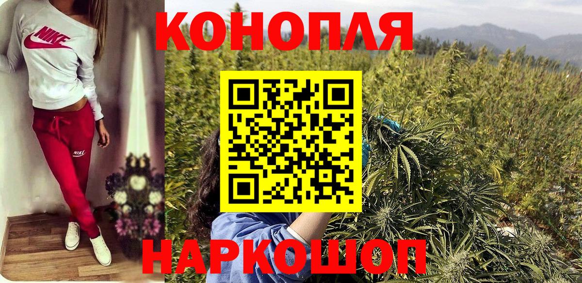 Бошки марихуана ГИДРОПОН  Вход с VPN  Бошки марихуана White Widow  Волгодонск 